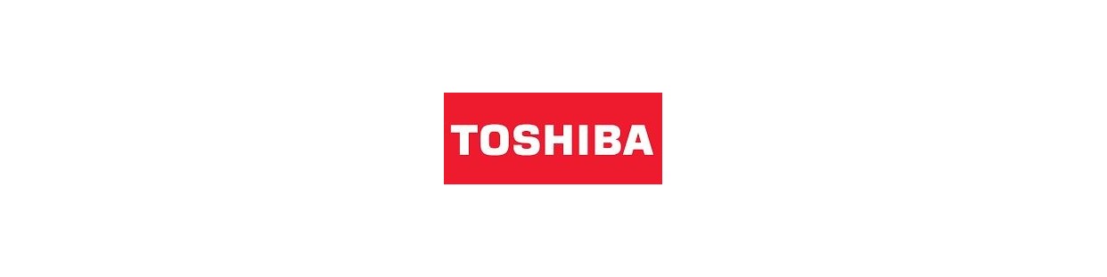 Preventivo Condizionatore Climatizzatore TOSHIBA mono split
